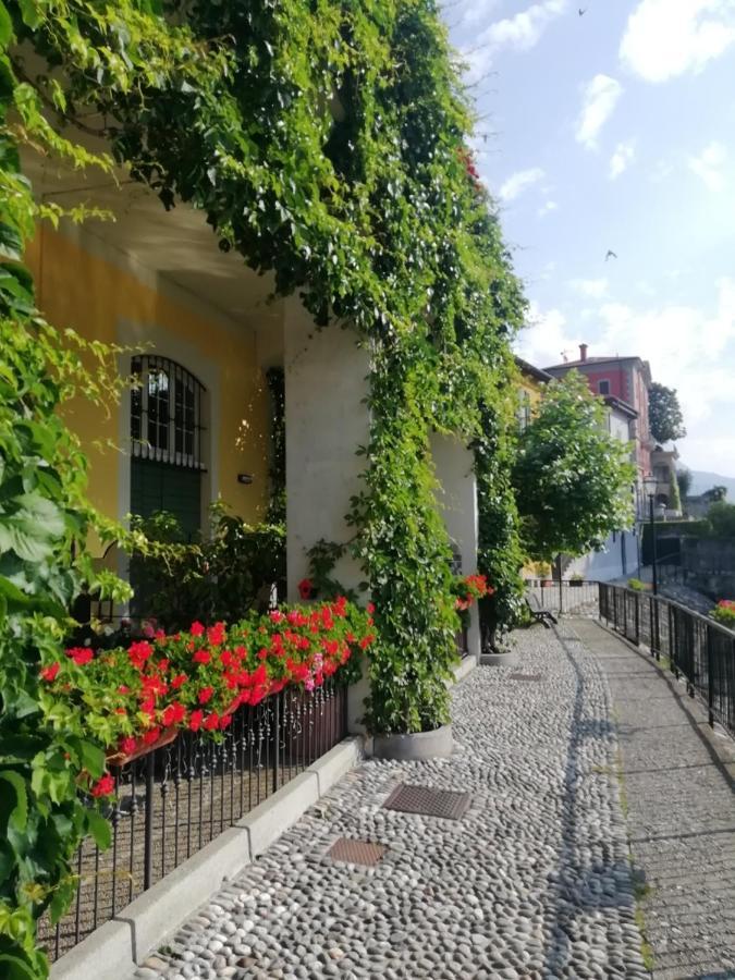 Viewtiful Homestay Stazzona Bagian luar foto