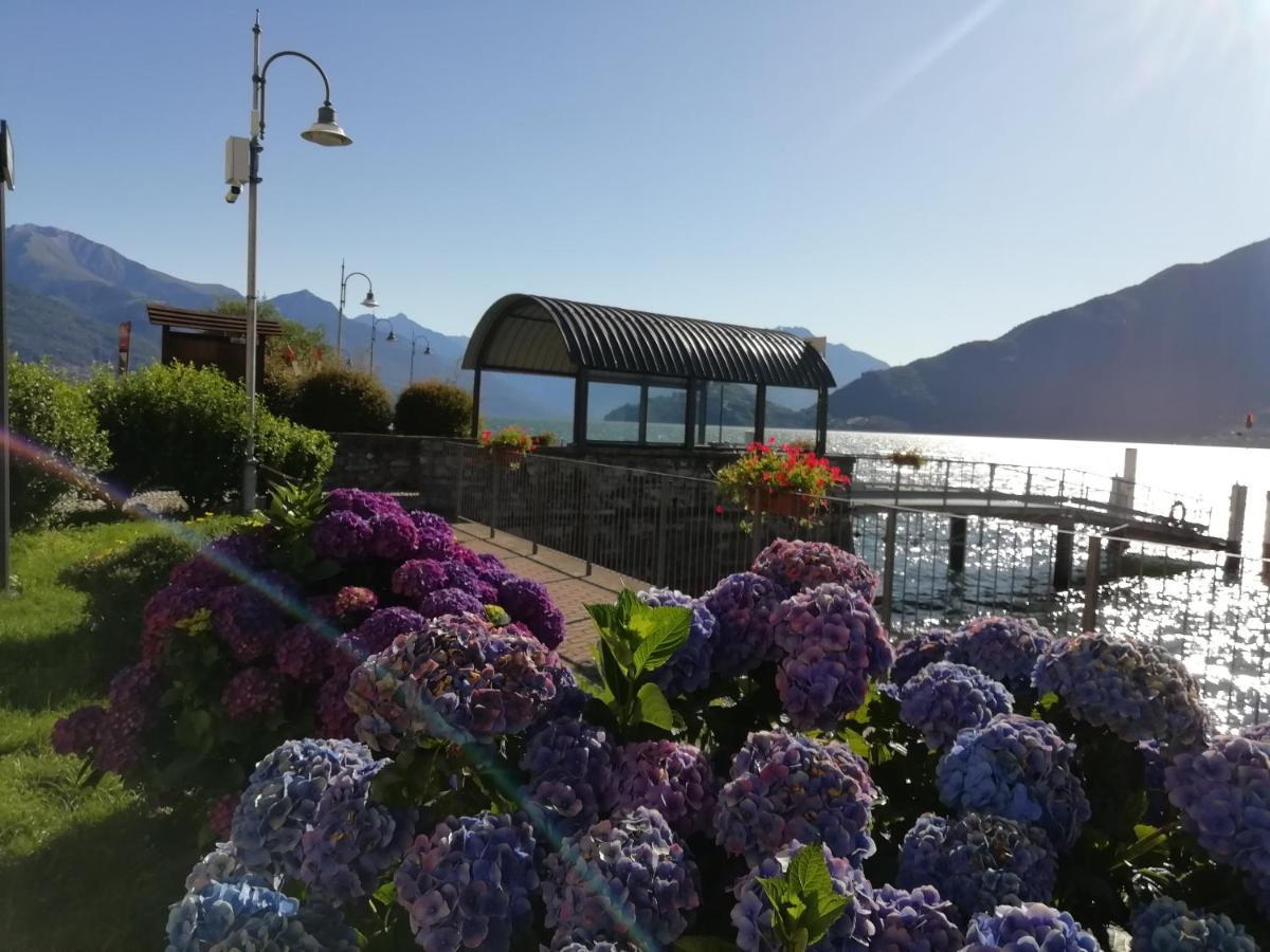 Viewtiful Homestay Stazzona Bagian luar foto